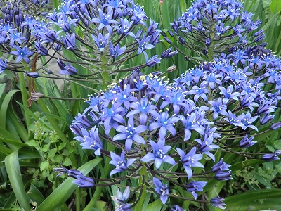 s-CIMG0839.jpg