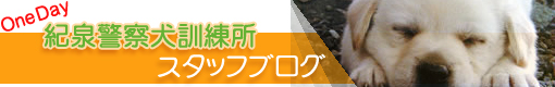 OneDay 紀泉警察犬訓練所　スタッフブログ